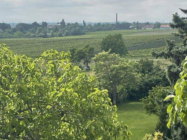 Grundstück zum Kauf 1.150.000 € 2.059 m² Grundstück Sooß 2504