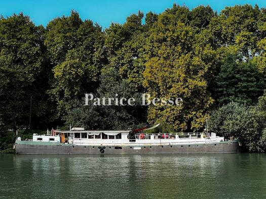 Haus zum Kauf 330.000 € 11 Zimmer 200 m² 200 m² Grundstück Zone Pietonne Avignon 84000