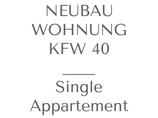 Wohnung zur Miete 440 € 1 Zimmer 40 m² Geschoss 1/2 frei ab sofort Wagenfeld 49419