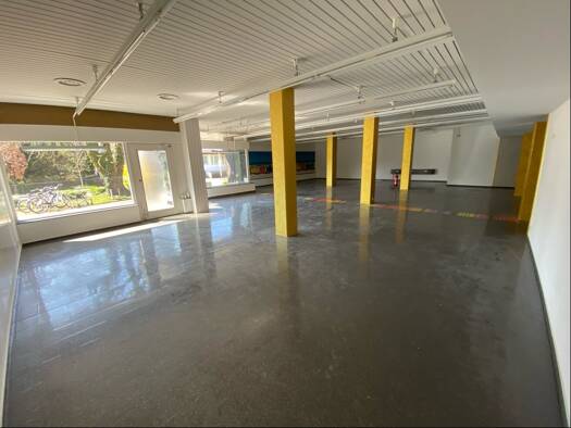 Büro-/Praxisfläche zum Kauf 250.000 € 4 Zimmer Ohlsbach 77797