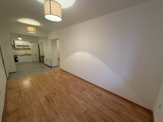 Wohnung zur Miete 560 € 1 Zimmer 51,8 m² Eggenberg Graz 8020
