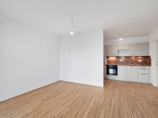 Wohnung zur Miete - Erstbezug 687 € 2 Zimmer 40,9 m² EG frei ab 01.11.2026 Wien 1210