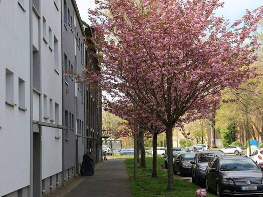 Wohnung zur Miete 442 € 2,5 Zimmer 66 m² 2. Geschoss frei ab 30.09.2026 Laurentiusstraße 37 Wanne Herne 44649