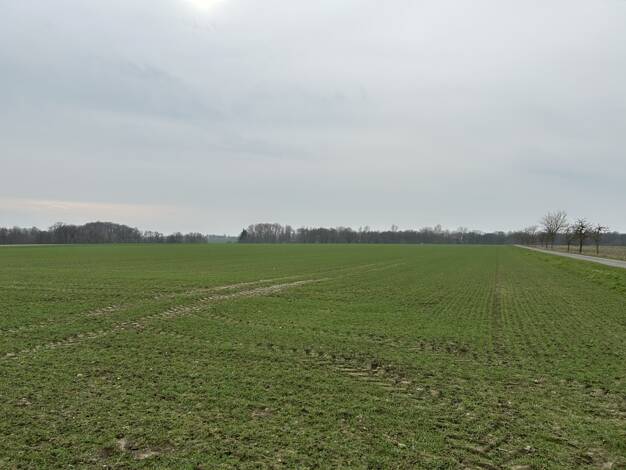 Land-/Forstwirtschaft zum Kauf 40.850 m² Grundstück Bassum 27211