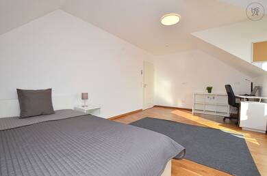 WG-Zimmer zur Miete Wohnen auf Zeit 755 € 25 m² 5. Geschoss frei ab 01.08.2025 Äußere Pleich Würzburg 97080