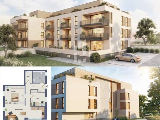 Wohnung zur Miete 1.050 € 3 Zimmer 91 m² Kues Bernkastel-Kues 54470