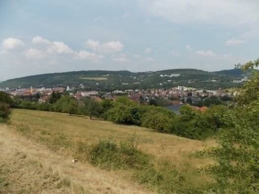 Grundstück zum Kauf 227.500 € 948 m² Grundstück Bad Mergentheim 97980