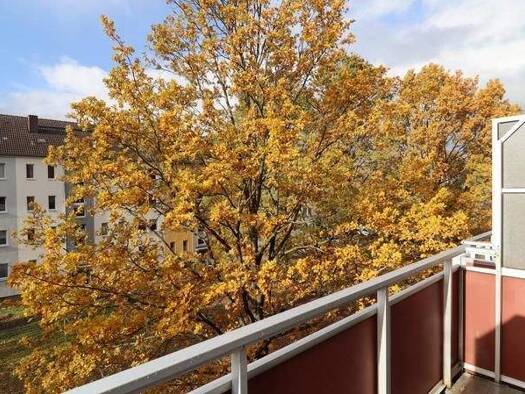 Wohnung zur Miete 377 € 3 Zimmer 58 m² 3. Geschoss frei ab sofort Flemmingstraße 87 Altendorf Chemnitz 09116