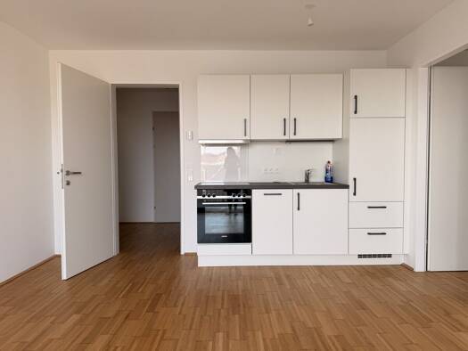 Wohnung zur Miete 803 € 2 Zimmer 45,2 m² 3. Geschoss Liesing 1230
