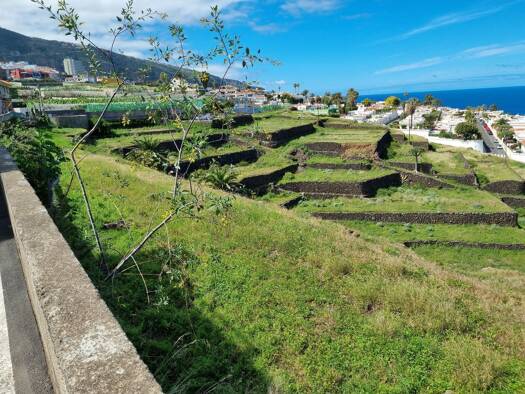 Grundstück zum Kauf provisionsfrei als Kapitalanlage geeignet 22.028 m² Grundstück Calle los Beltranes 36 Los Realejos 38417