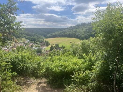 Einfamilienhaus zum Kauf 269.000 € 4 Zimmer 117 m² 1.876 m² Grundstück Wald-Amorbach Breuberg 64747