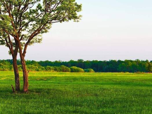 Einfamilienhaus zum Kauf 690.000 € 13 Zimmer 340 m² 10.115,7 m² Grundstück frei ab sofort Birkacher Straße 13 Burgpreppach 97496