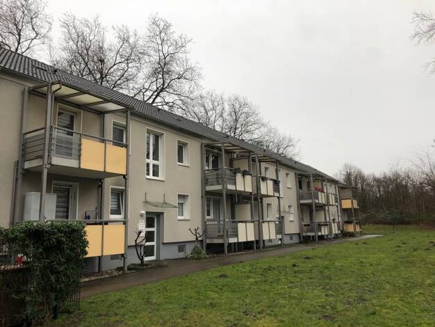Wohnung zur Miete 444 € 2,5 Zimmer 51 m² EG frei ab 01.10.2026 Heßlerstr. 180 Altenessen-Nord Stadtbezirk V 45329