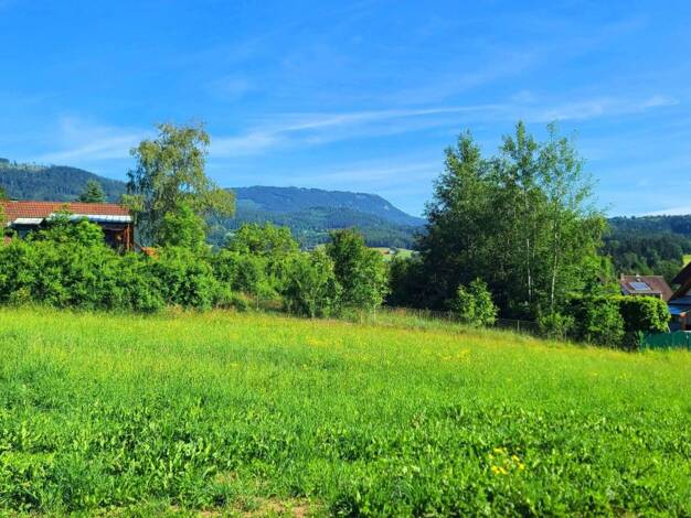 Grundstück zum Kauf provisionsfrei 257.000 € 976 m² Grundstück Untere Mölten 20 Weinitzen 8045