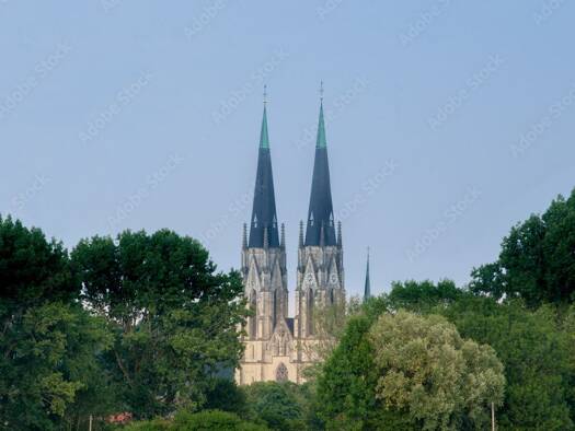 Wohnung zum Kauf provisionsfrei 3 Zimmer 65 m² 1. Geschoss Billerbeck 48727