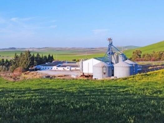 Einfamilienhaus zum Kauf 780.000 € 5 Zimmer 157 m² 520.000 m² Grundstück Bornos 11640