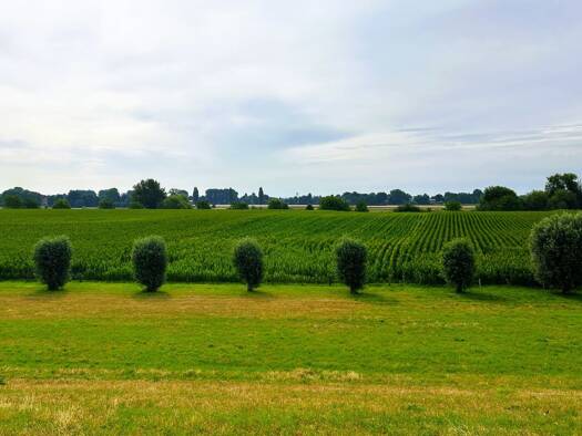 Grundstück zum Kauf 850.000 € 862 m² Grundstück Langst-Kierst Meerbusch 40668
