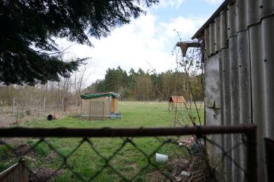 Einfamilienhaus zum Kauf 249.000 € 6 Zimmer 165 m² 3.501 m² Grundstück Vevais Bliesdorf / Vevais 16269