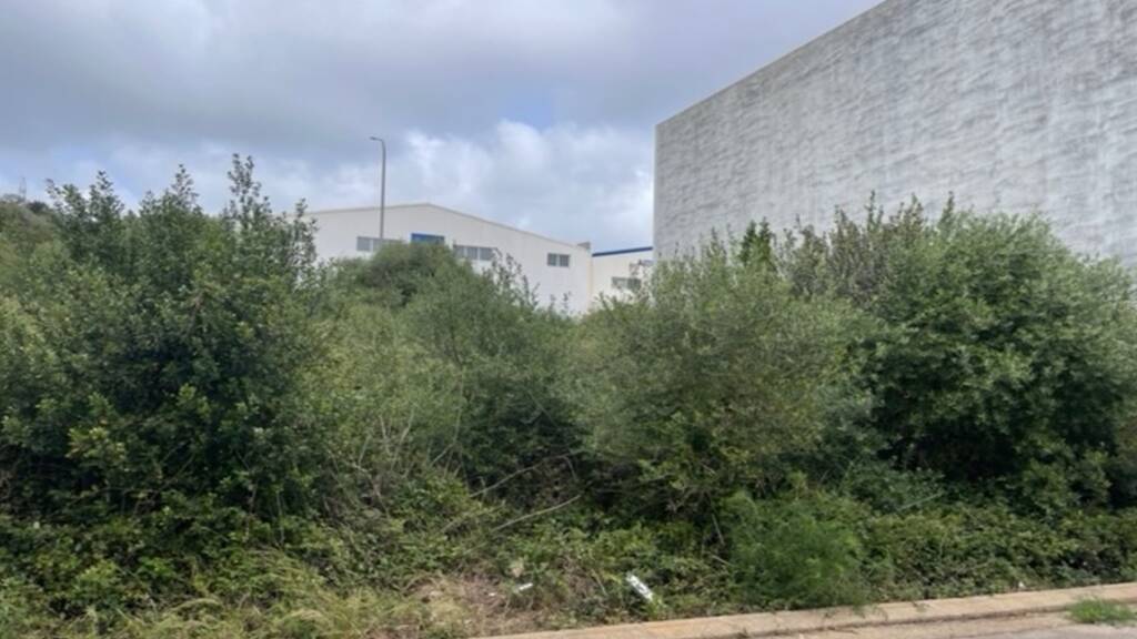 Grundstück zum Kauf 119.000 € 337 m² Grundstück ALAIOR 07730