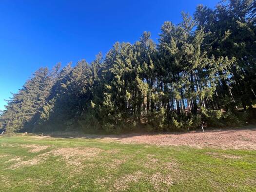Land-/Forstwirtschaft zum Kauf 71.000 € 13.178 m² Grundstück Wiggensbach Wiggensbach 87487