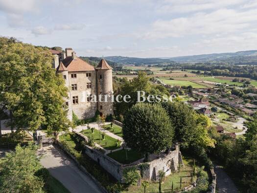 Schloss zum Kauf 2.300.000 € 20 Zimmer 963 m² 113.659 m² Grundstück Valence Sud Valence 26000