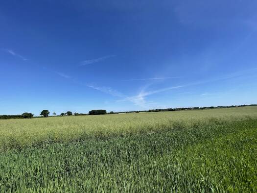 Land-/Forstwirtschaft zum Kauf 349.600 € 76.000 m² Grundstück Cronskamp Rieps 19217