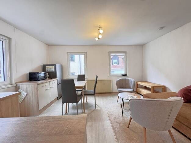 Wohnung zur Miete 380 € 2 Zimmer 41 m² 1. Geschoss Lauf Lauf an der Pegnitz 91207