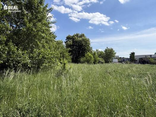 Grundstück zum Kauf 277.770 € 591 m² Grundstück Neusiedl am See 7100