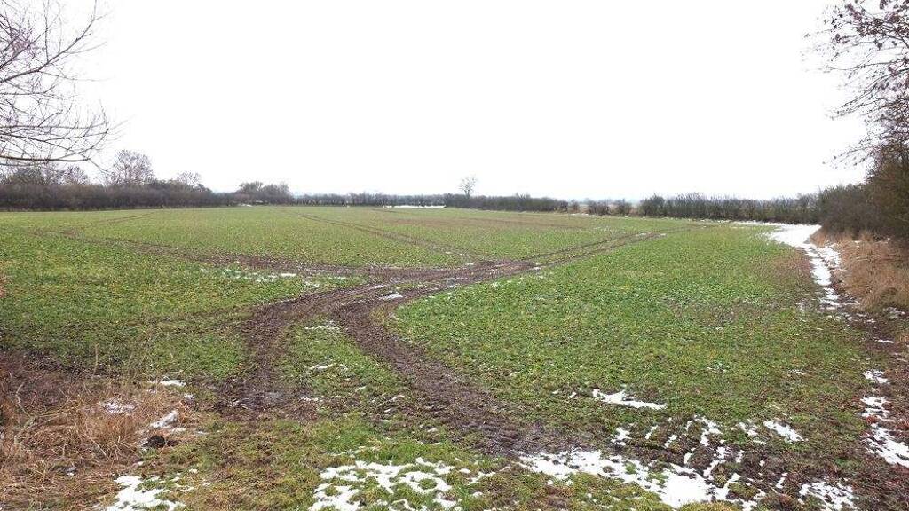 Landwirtschaftliche Fläche zum Kauf 24.857 m² Grundstück Bücken Schweringen 27333