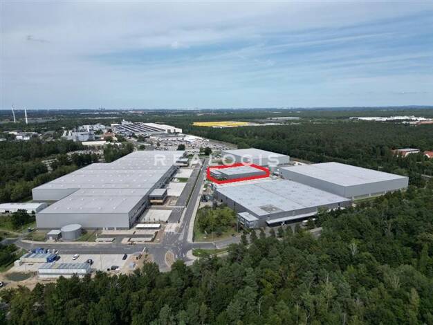Halle/Industriefläche zur Miete provisionsfrei 2.932 m² Lagerfläche teilbar ab 6.446 m² Ludwigsfelde Ludwigsfelde 14974
