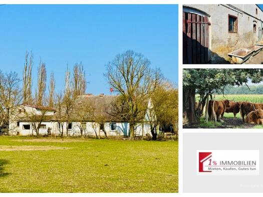 Bauernhof zum Kauf 270.000 € 55.000 m² Grundstück Seelow 15306