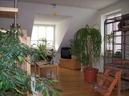 Maisonette zur Miete 975 € 2,5 Zimmer 76 m² Geschoss 1/2 frei ab 01.10.2026 Farmsen-Berne Wandsbek 22159