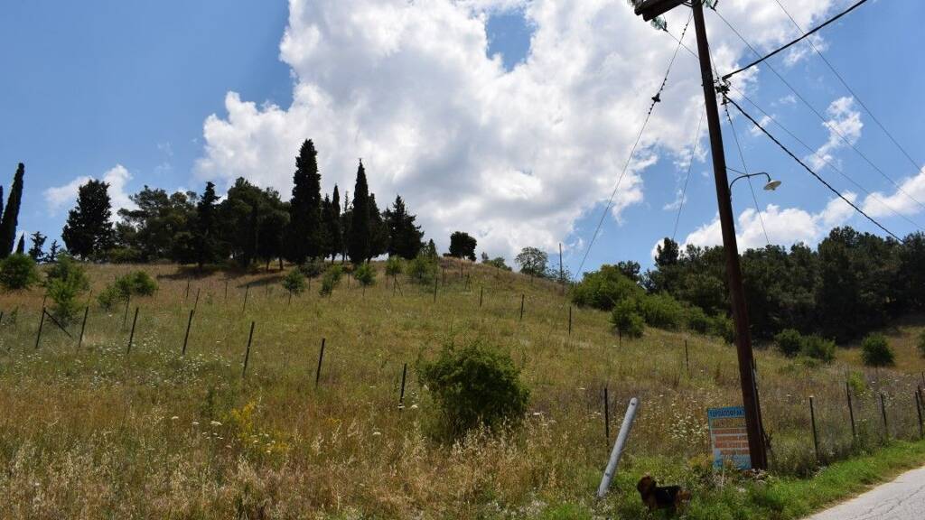 Land-/Forstwirtschaft zum Kauf 160.000 € 596 m² Grundstück Thessaloniki