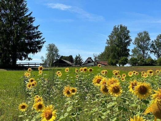 Herrenhaus zum Kauf 170.000 m² Grundstück Ruschweiler Illmensee 88636