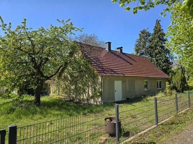 Einfamilienhaus zum Kauf provisionsfrei 210.000 € 8 Zimmer 125 m² 4.838 m² Grundstück Dorfstraße 15 Alt Lutterow Alt-Lutterow 16837