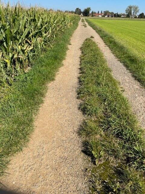 Landwirtschaftliche Fläche zum Kauf - Ansicht 4