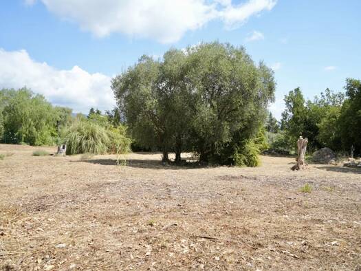 Grundstück zum Kauf 529.000 € 2.513 m² Grundstück Sud Roquefort-les-Pins 06330