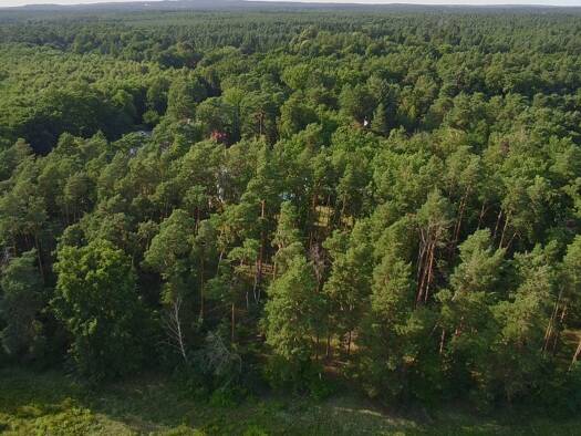 Grundstück zum Kauf 2.200.000 € 4.044 m² Grundstück Stahnsdorf 14532