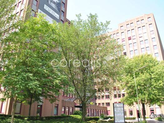 Bürofläche zur Miete provisionsfrei 14 € 537 m² Bürofläche Lörick Düsseldorf 40547