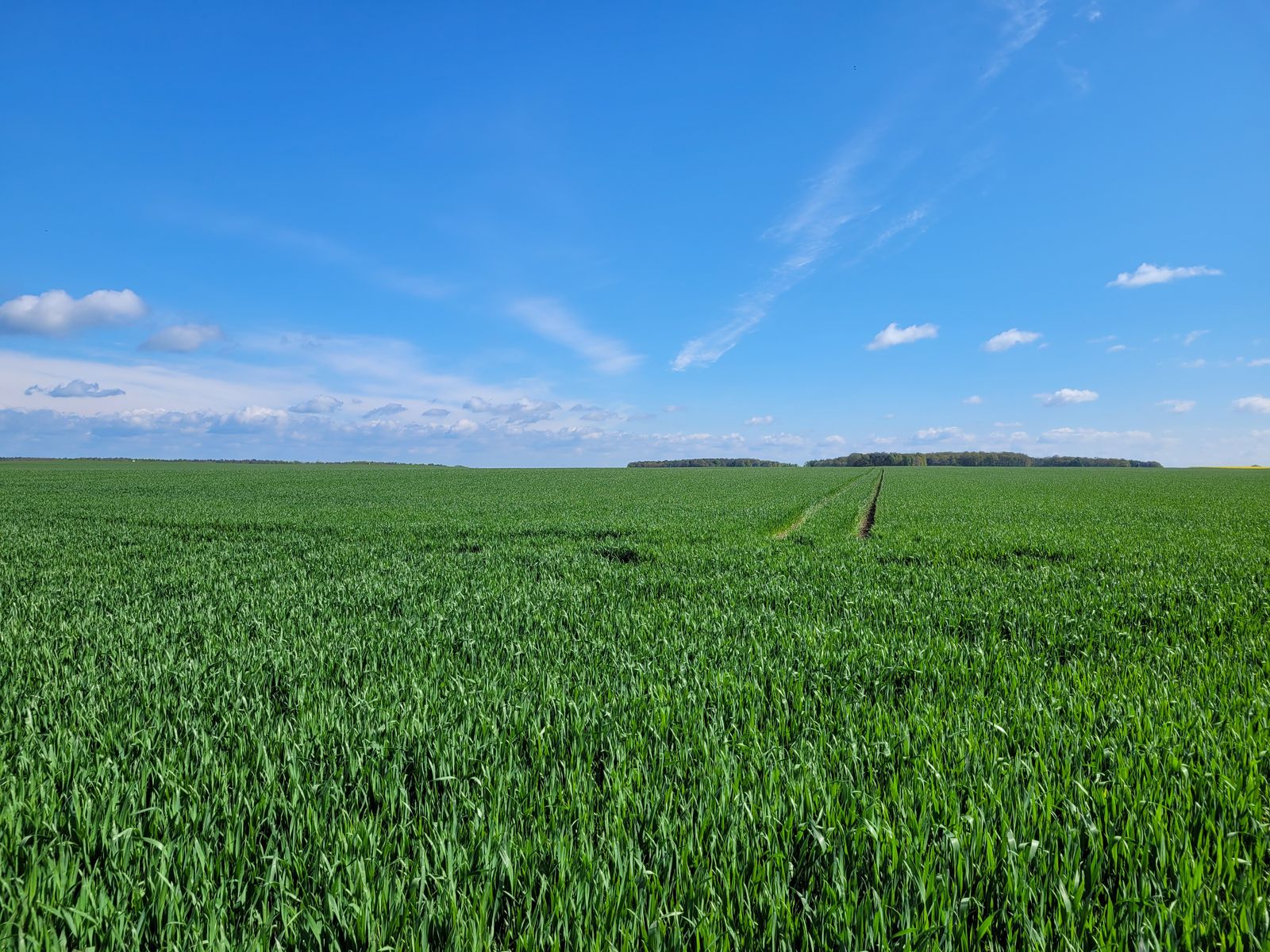 Landwirtschaftliche Fläche zum Kauf 1.250.000 m²<br/>Fläche Vietznitz Friesack 14662