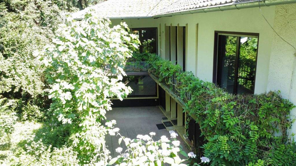 Mehrfamilienhaus zum Kauf 695.000 € 14 Zimmer 311 m² 2.104 m² Grundstück Steinach 77790