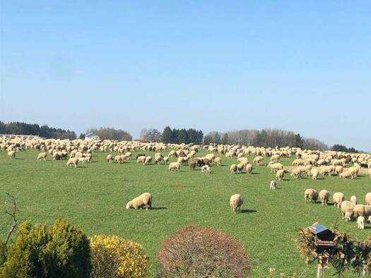 Landwirtschaftliche Fläche zum Kauf 3.550 m² Grundstück Perchting 82319