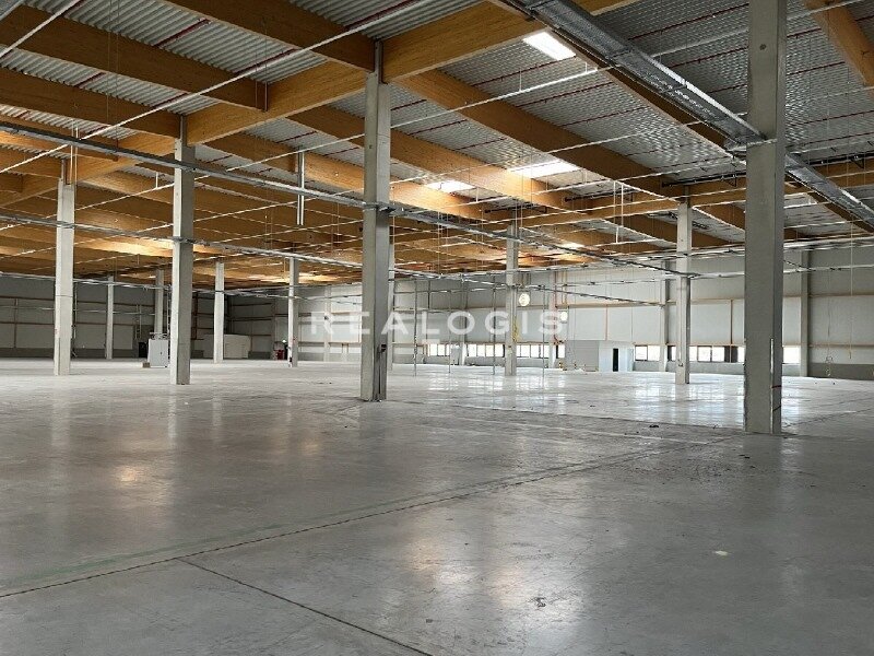 Halle/Industriefläche zur Miete 4.500 m²<br/>Lagerfläche Nordstadt Schwetzingen 68723