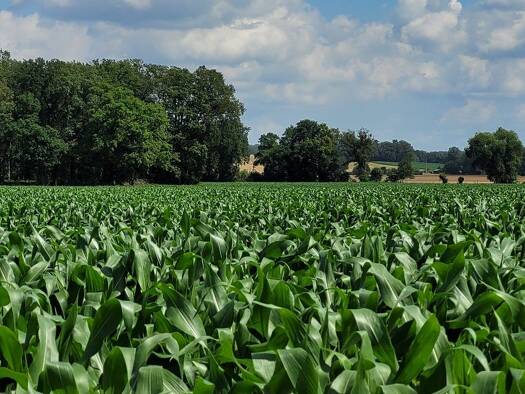 Land-/Forstwirtschaft zum Kauf 190.000 € 149.400 m² Putlitz 16949