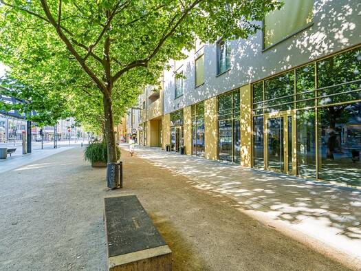 Verkaufsfläche zur Miete provisionsfrei 4.805 € 1 Zimmer 220,3 m² Verkaufsfläche teilbar ab 220,3 m² Innere Altstadt Dresden 01067