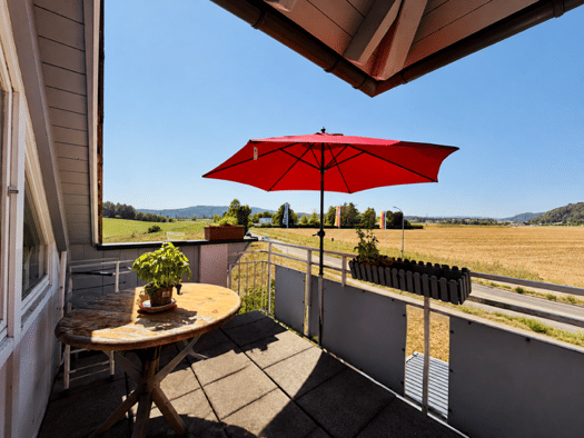 Wohnung zum Kauf 168.000 € 2 Zimmer 46 m² 3. Geschoss Rielasingen Rielasingen-Worblingen 78239