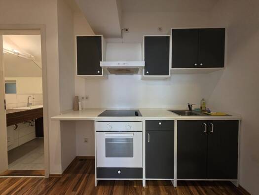 Studio zur Miete 455 € 1 Zimmer 32,9 m² EG Helmstraße 16 St Johannis Nürnberg 90419