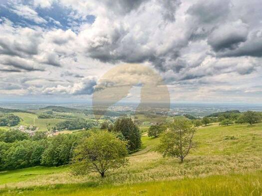 Grundstück zum Kauf provisionsfrei 365.000 € 1.348 m² Grundstück Sasbachwalden 77887