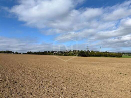Landwirtschaftliche Fläche zum Kauf 1.035.000 € 88.067 m² Grundstück Mitte Innenstadt-Nord 44137