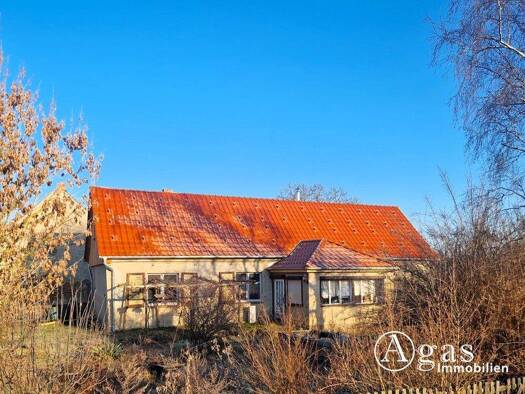 Einfamilienhaus zum Kauf provisionsfrei 249.000 € 3 Zimmer 110 m² 19.682 m² Grundstück Manschnow Küstriner Vorland / Manschnow 15328